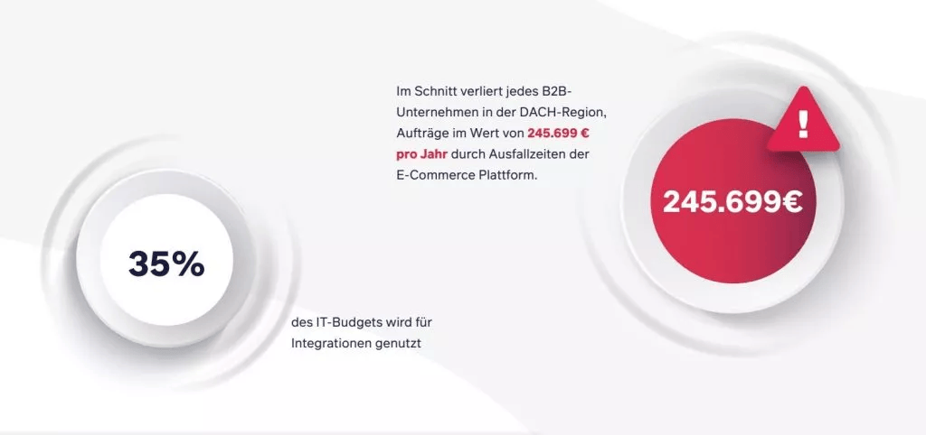 Fehlinvestitionen IT Report