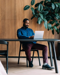 domus lighting manufacturing distribution banner