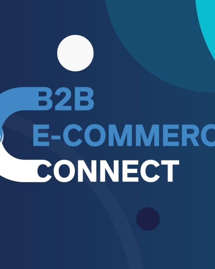 B2B E-Commerce Connect Overview Logo