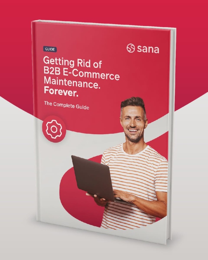 Getting Rid of E-Commerce Maintenance... Forever: The Complete Guide