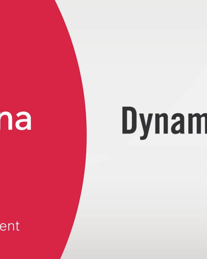 Sana Commerce Dyanmsoft partnership