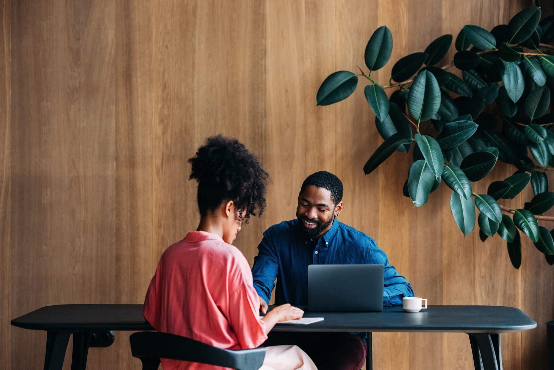 domus lighting manufacturing distribution banner