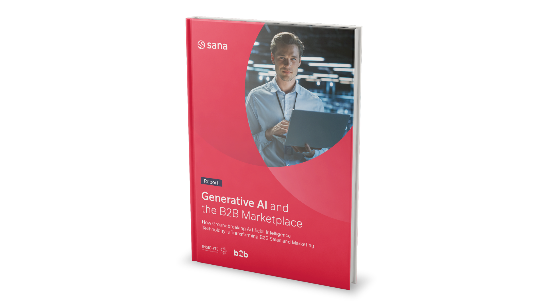 report generative AI and the B2B marketplace