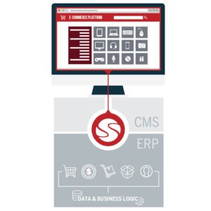 illustration2-guide-to-advantages-erp-integration-b2b-300×300-1