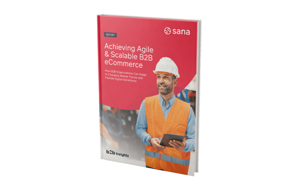 Cover B2B Online Insights Report