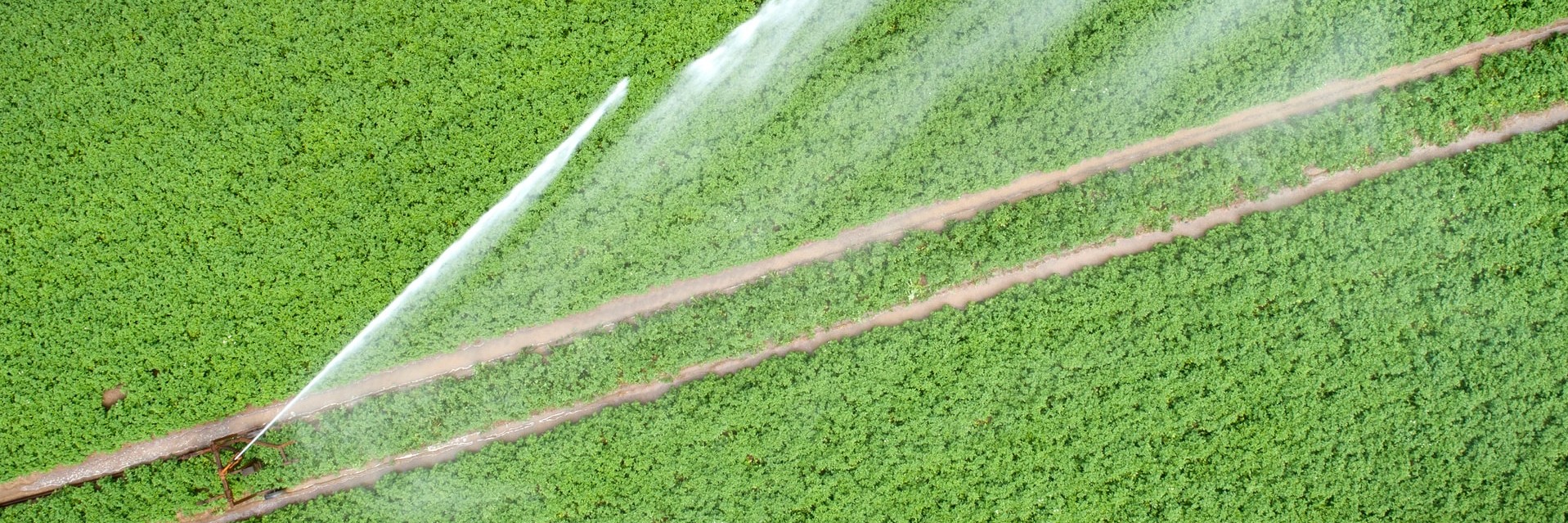 Machinery K-Rain Manufacturing