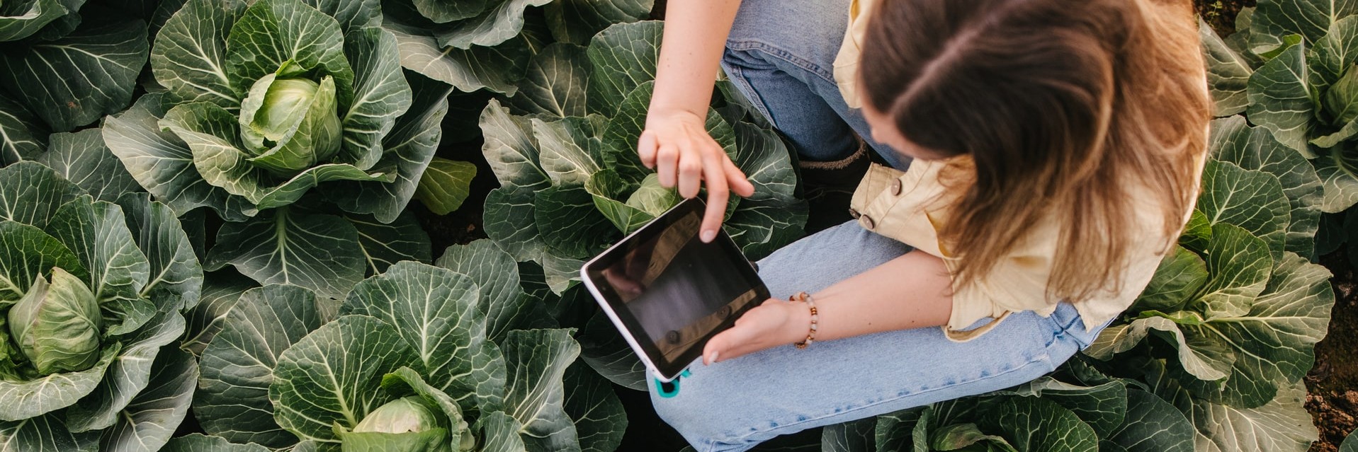 Machinery Manufacturing Royal Brinkman