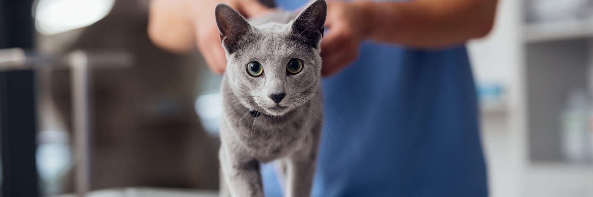 Medical JAK Marketing