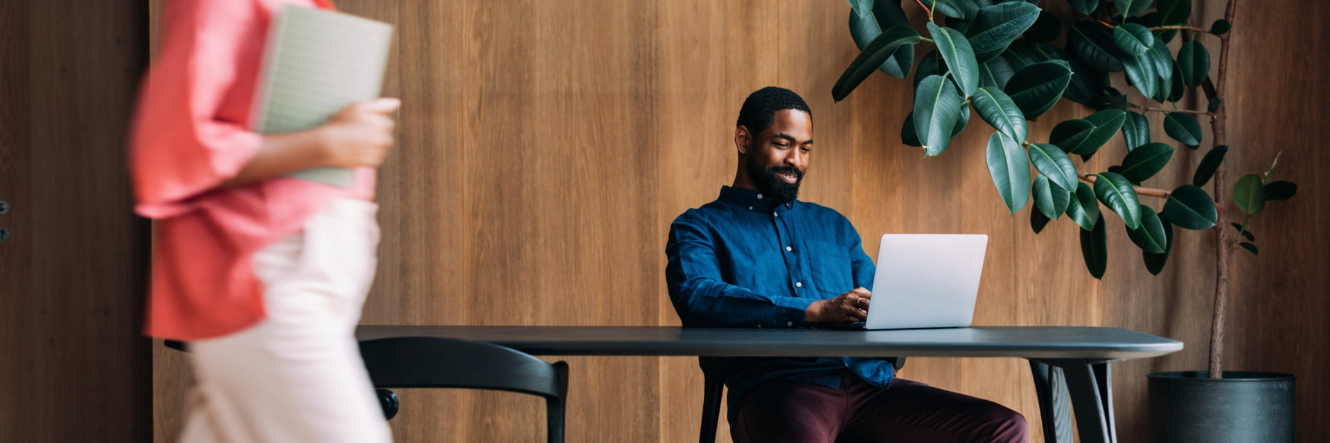 domus lighting manufacturing distribution banner