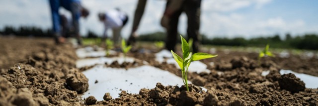 Hummert International