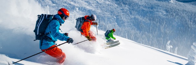 Manufacturing Sports Fischer Sports