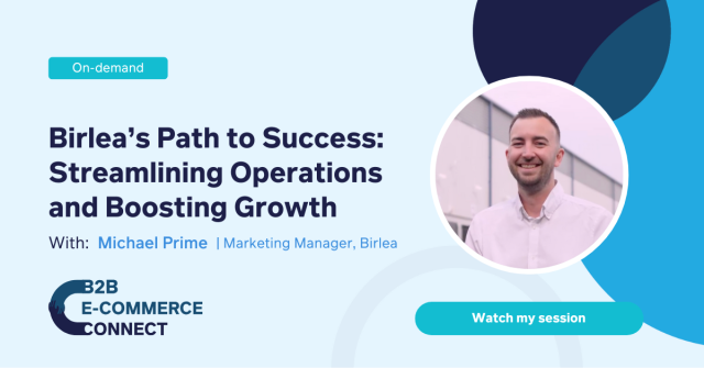 Birlea’s Path to Success_ Streamlining Operations and Boosting Growth