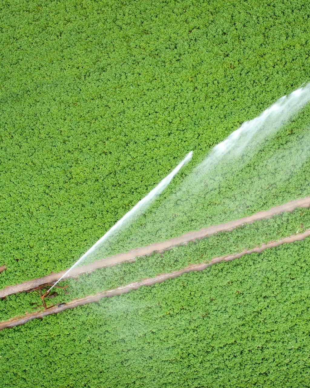 Machinery K-Rain Manufacturing