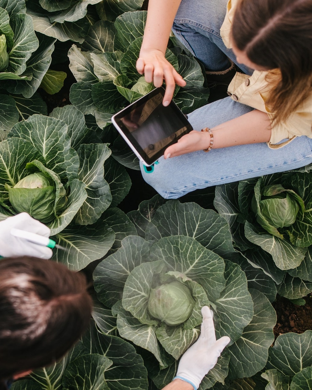 Machinery Manufacturing Royal Brinkman