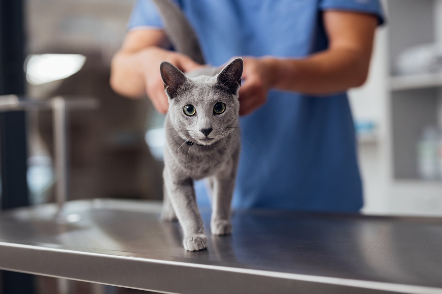 Medical JAK Marketing