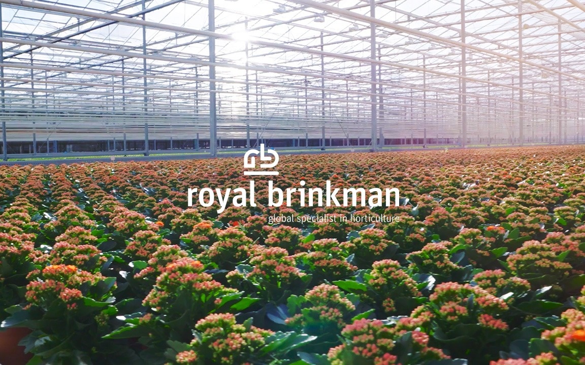 Royal Brinkman