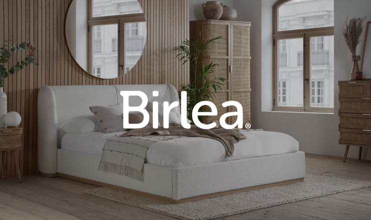 Birlea – case study