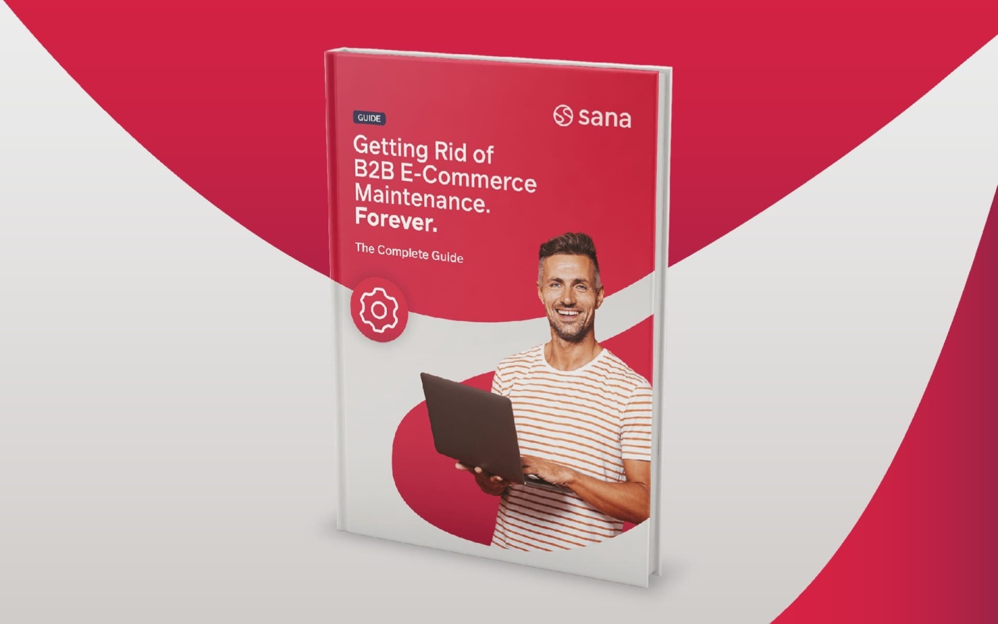 Getting Rid of E-Commerce Maintenance... Forever: The Complete Guide