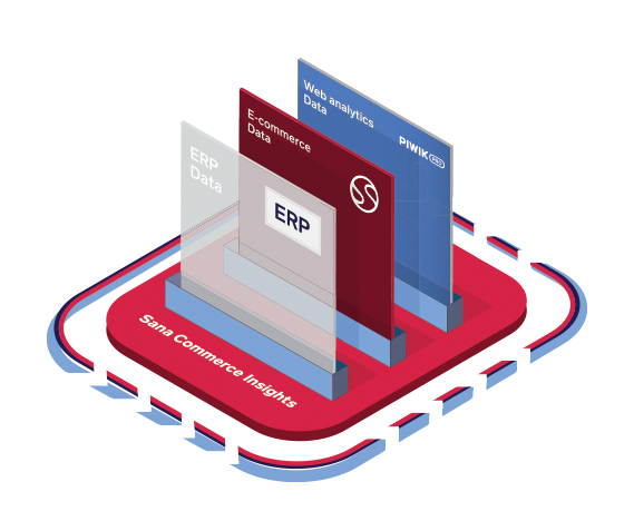 Sana Commerce Insights