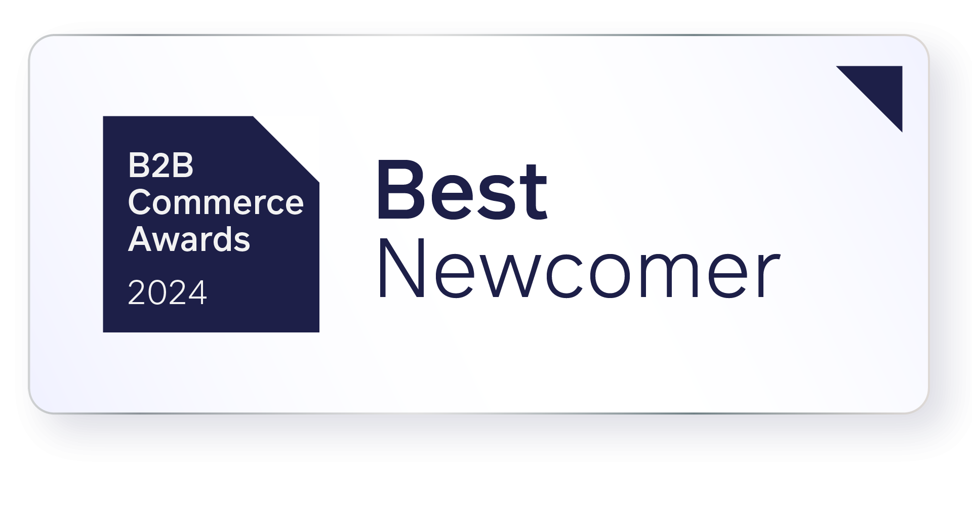 e-commerce awards best newcomer