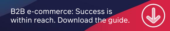 B2B e-commerce: Success is within reach. Download the guide.