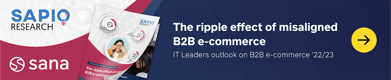 Website navigation image for IT leader report titled "The ripple effect of misaligned B2B e-commerce"