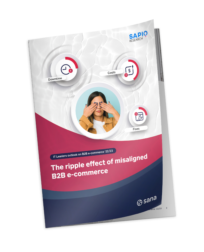 IT Leaders outlook on B2B e-commerce ‘22/23