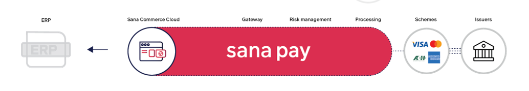 Sana payment service provider structure