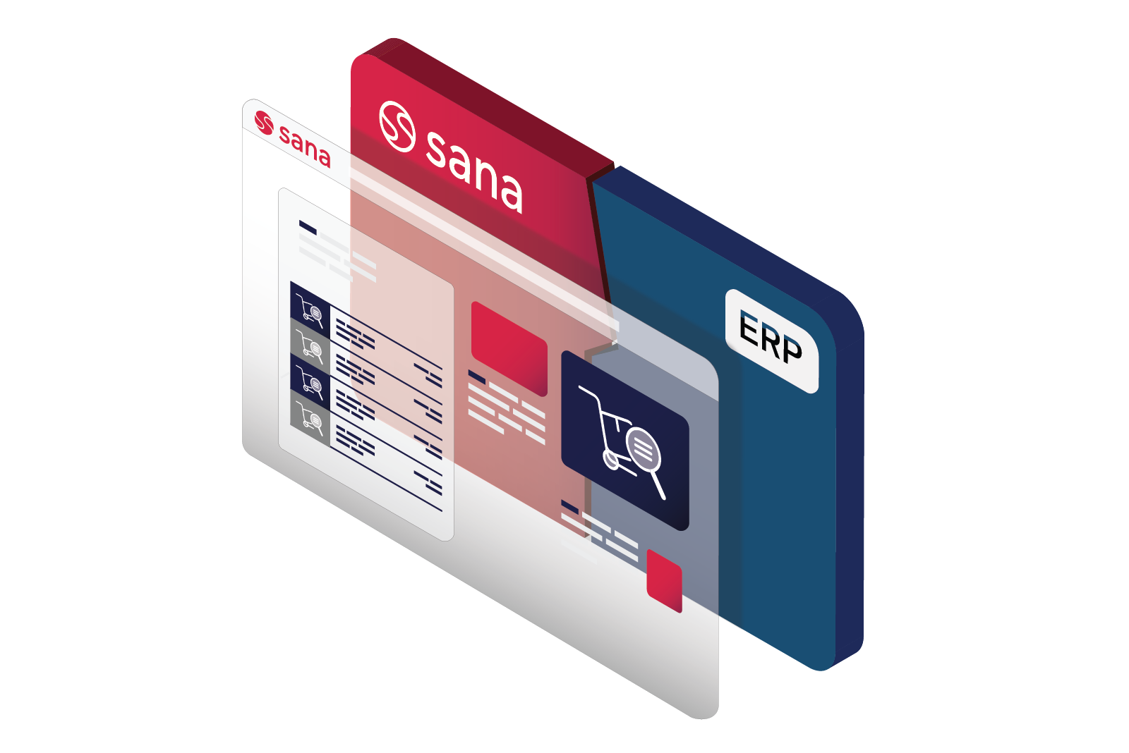Webinar Sana Commerce